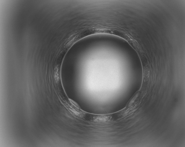 X0000052600479200507081825
