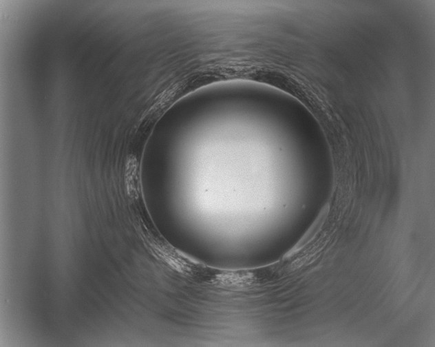 X0000052600480200507081825