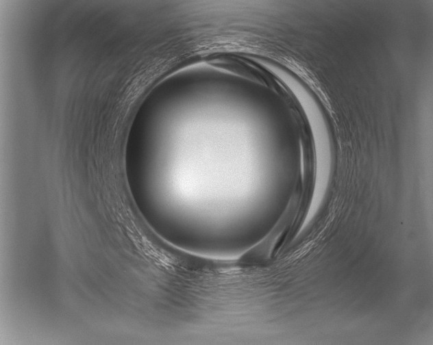 X0000052600481200507081824