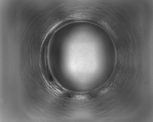 X0000052600488200507081824