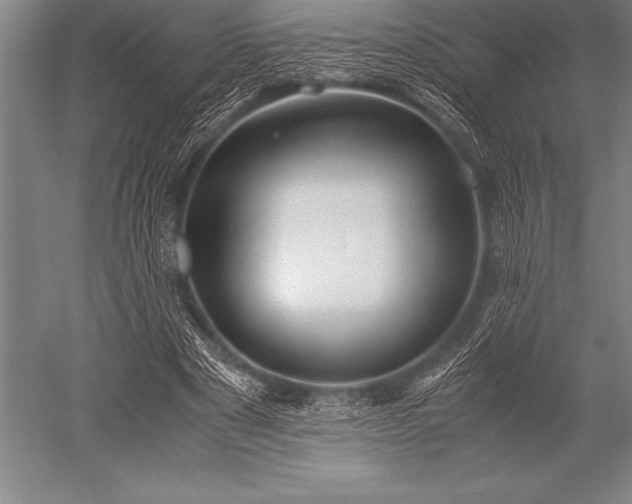 X0000052600489200507081824