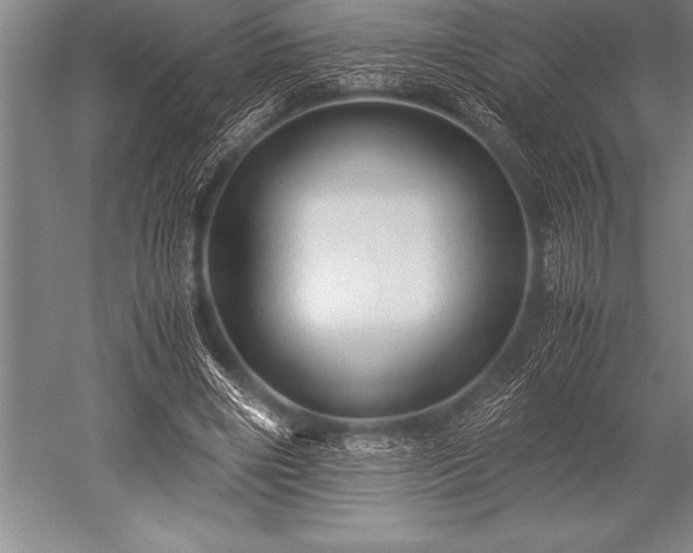 X0000052600490200507081824