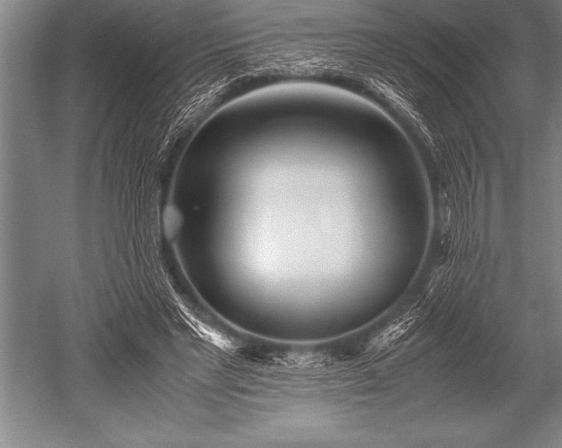 X0000052600493200507081824