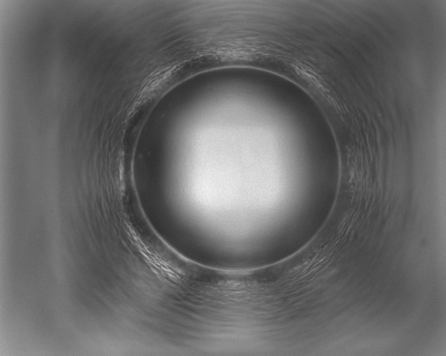 X0000052600494200507081824