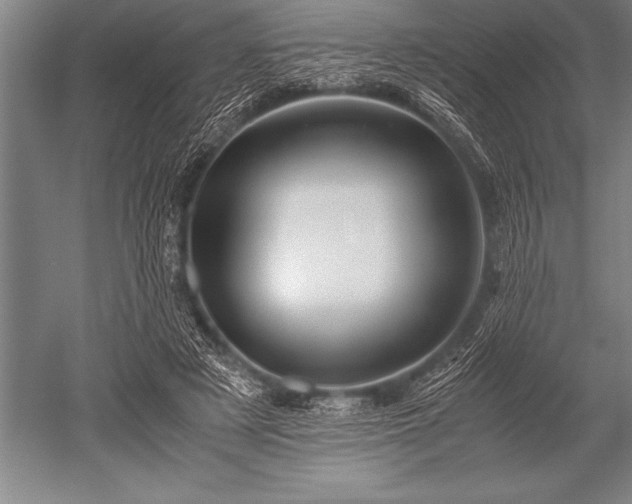 X0000052600497200507081824