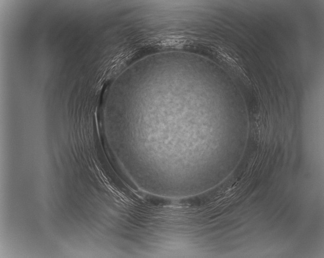 X0000052600504200507081824