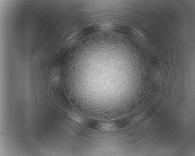 X0000052600507200507081824