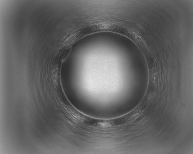 X0000052600509200507081824