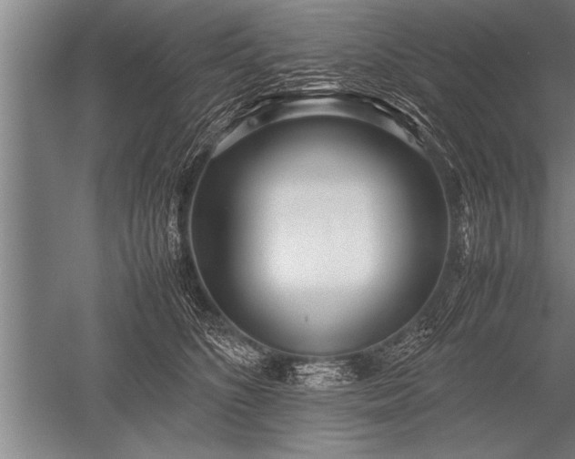 X0000052600516200507081824