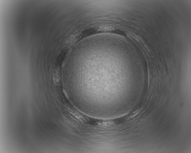 X0000052600517200507081824