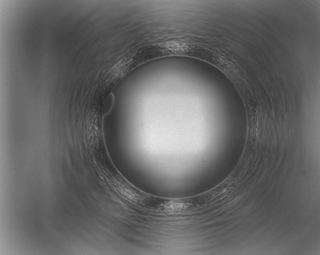 X0000052600518200507081824