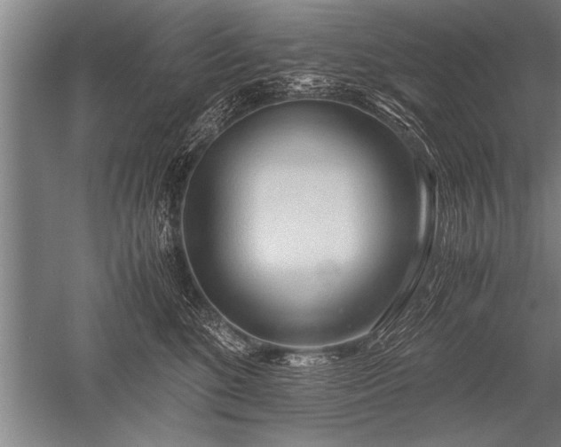 X0000052600520200507081823