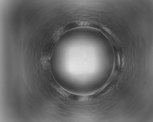 X0000052600521200507081823
