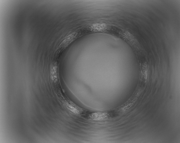 X0000052600526200507081823