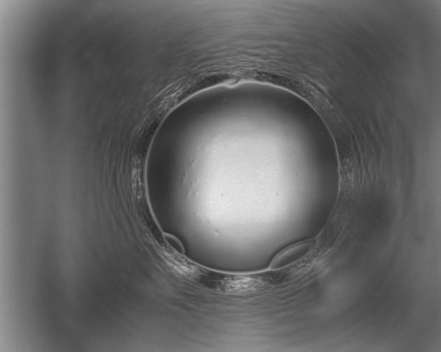 X0000052600527200507081823