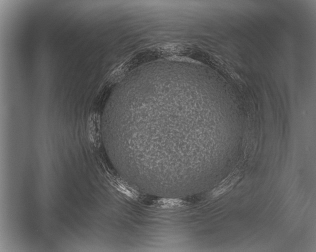 X0000052600528200507081823