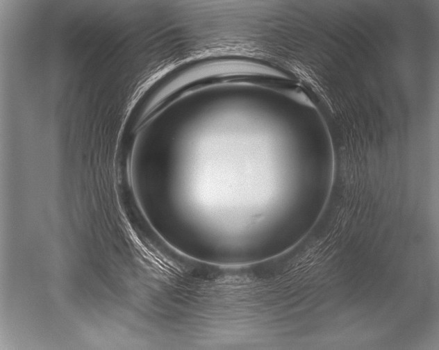 X0000052600536200507081823