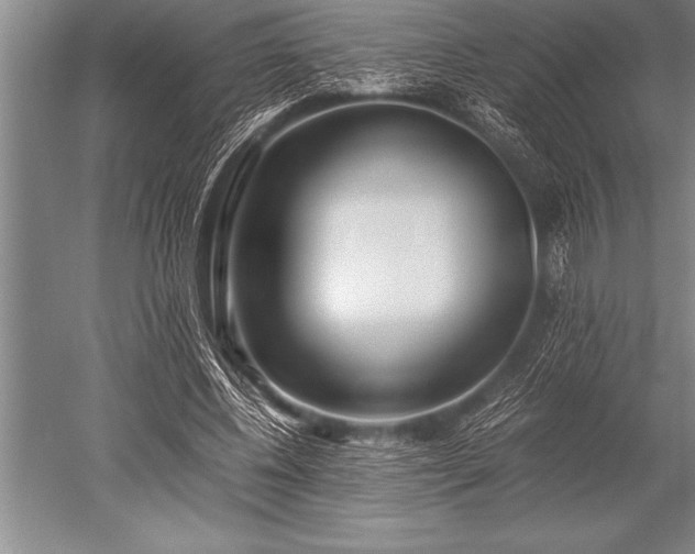 X0000052600540200507081823
