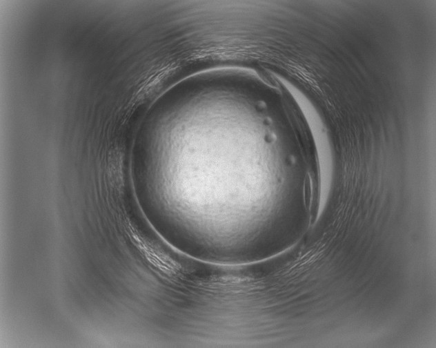 X0000052600542200507081823