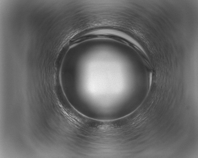 X0000052600544200507081823