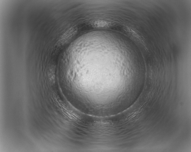 X0000052600545200507081823