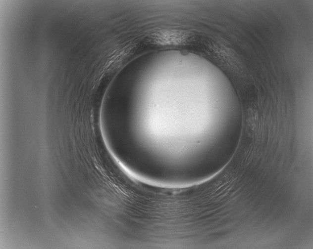 X0000052600547200507081823
