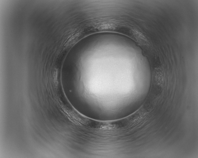 X0000052600550200507081823