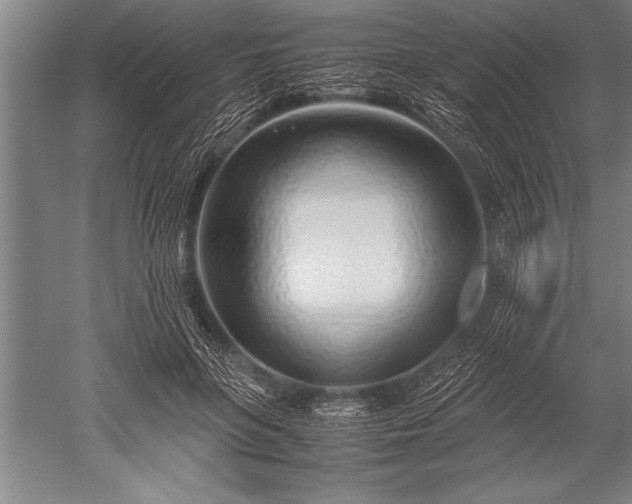 X0000052600551200507081823