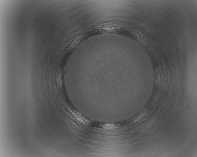 X0000052600562200507081823
