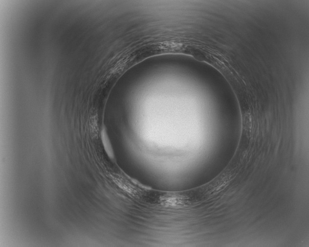 X0000052600564200507081823