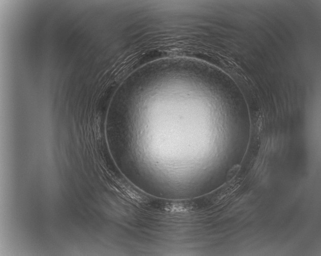 X0000052600565200507081823