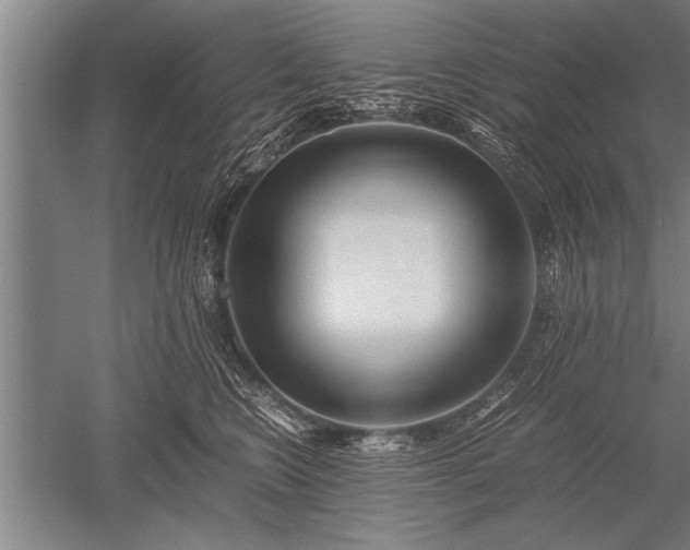 X0000052600566200507081823