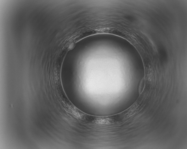 X0000052600569200507081823