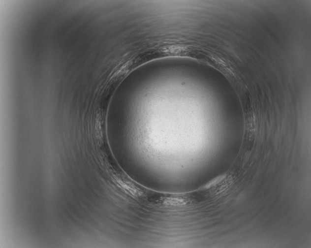 X0000052600572200507081823