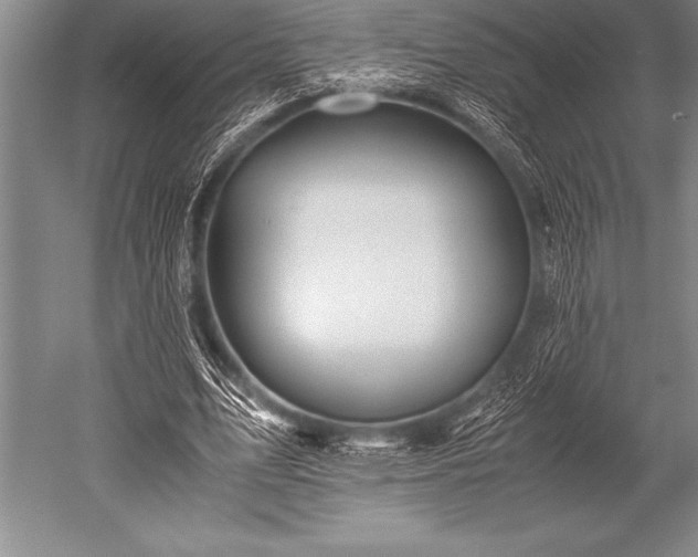 X0000052600583200507081822