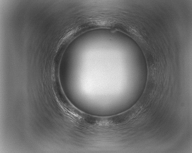 X0000052600587200507081822