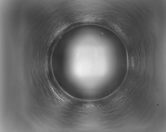 X0000052600588200507081822