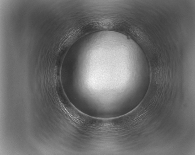 X0000052600594200507081822