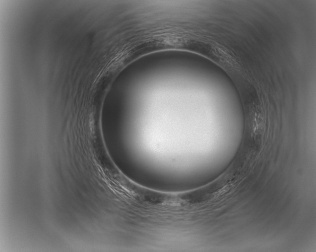 X0000052600595200507081822