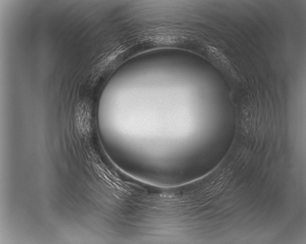 X0000052600596200507081822