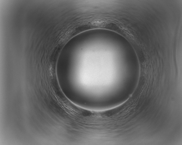X0000052600597200507081822
