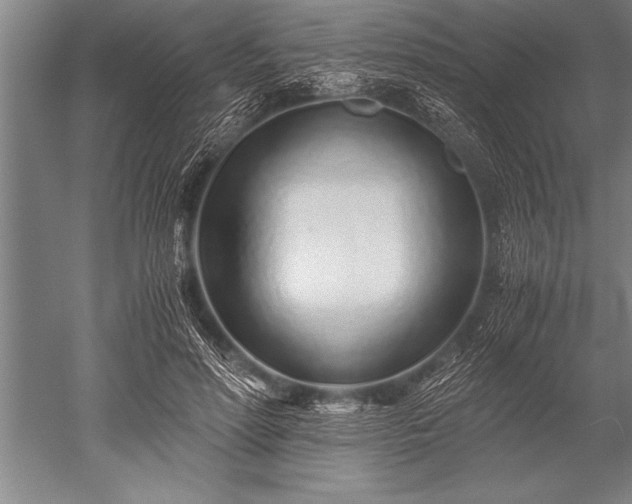 X0000052600598200507081822