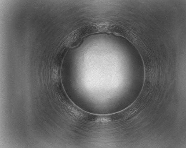 X0000052600610200507081822