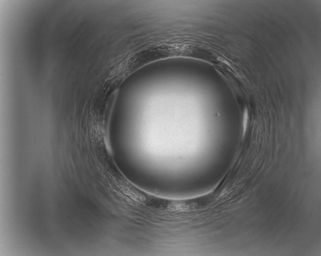 X0000052600613200507081822