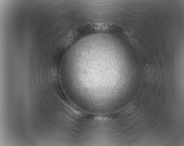 X0000052600614200507081822