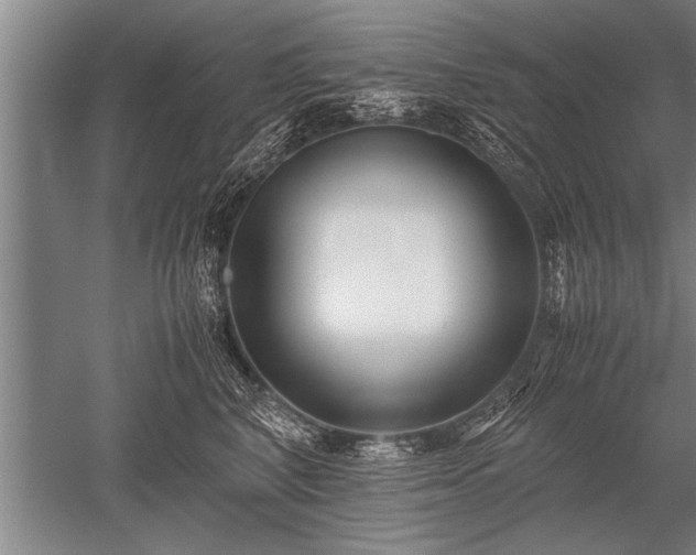 X0000052600616200507081822