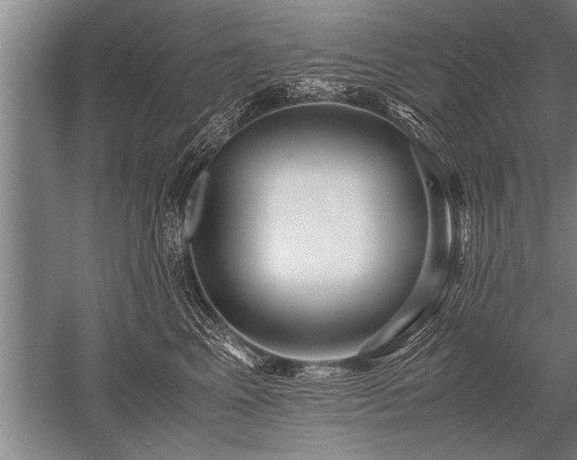 X0000052600617200507081822