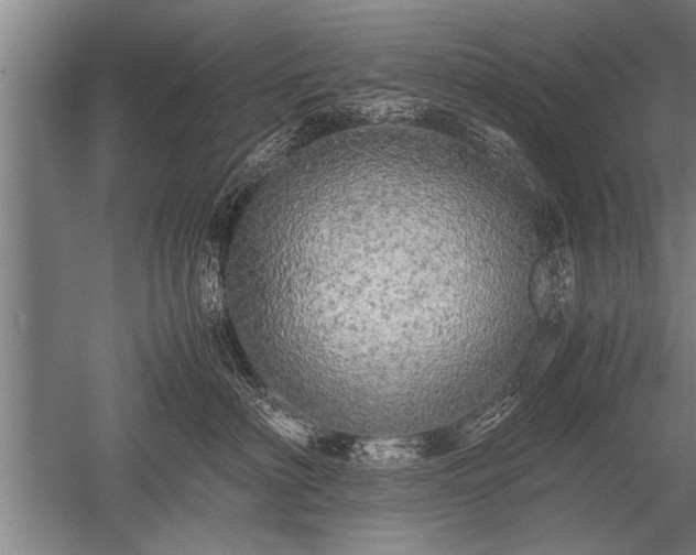 X0000052600622200507081822