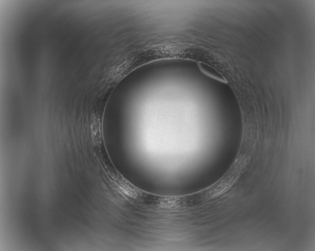 X0000052600624200507081822
