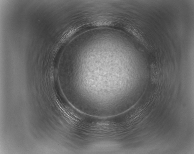 X0000052600631200507081821